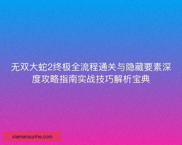 无双大蛇2终极全流程通关与隐藏要素深度攻略指南实战技巧解析宝典
